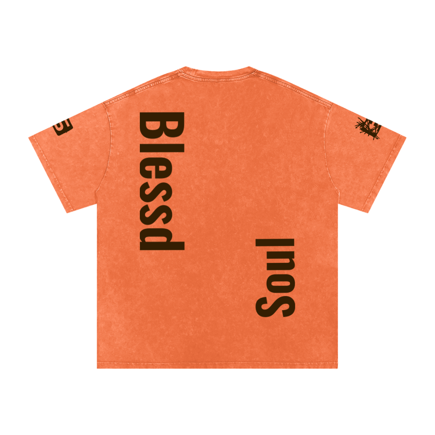 Snow Washed Oversized Tee